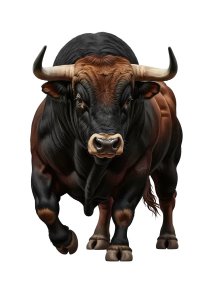 Imagen PNG para descargar